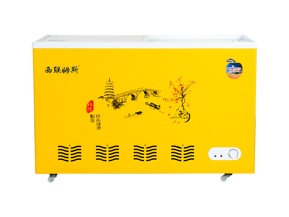 Glass Door Type Freezer