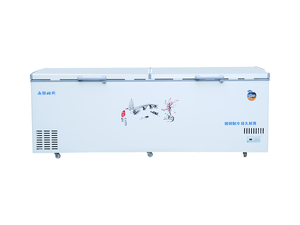 Double-door upright dual-temperature medium freezer